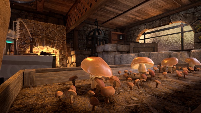 VR escape room with mushrooms